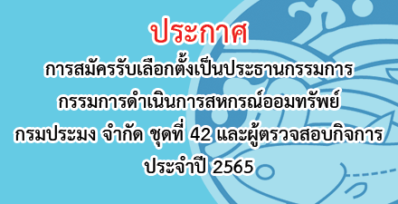 ผู้ตรวจสอบกิจการ