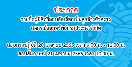 ผู้ตรวจสอบกิจการ