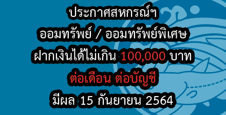 ผู้ตรวจสอบกิจการ